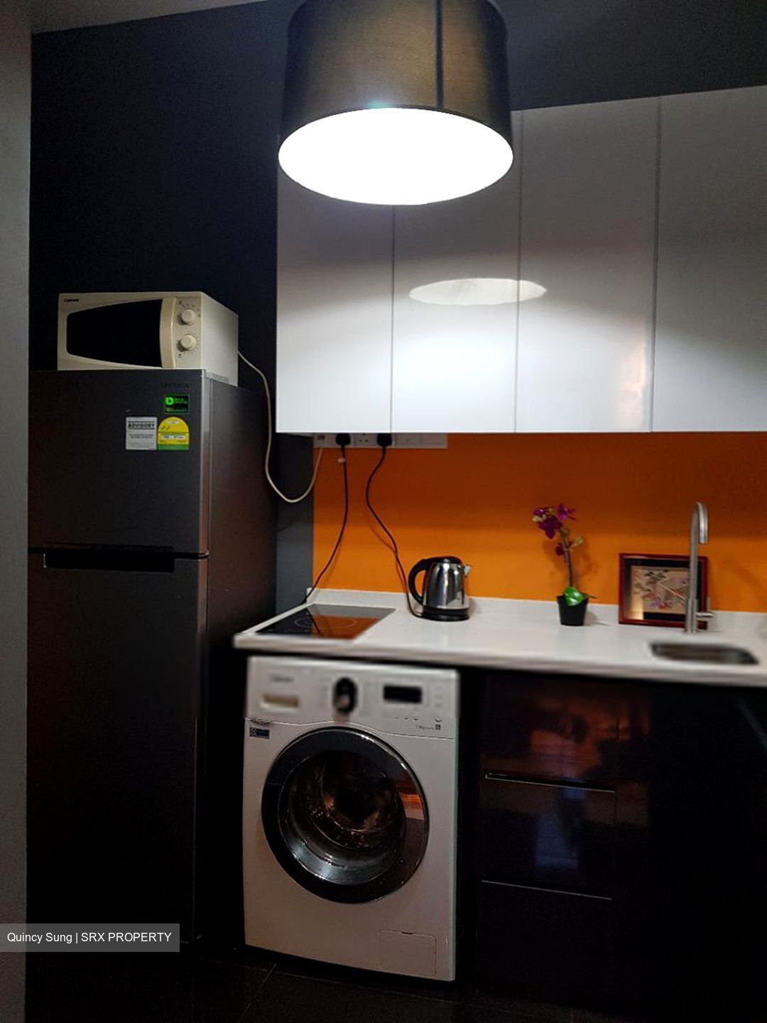 Harbour View Towers (D4), Condominium #405434981